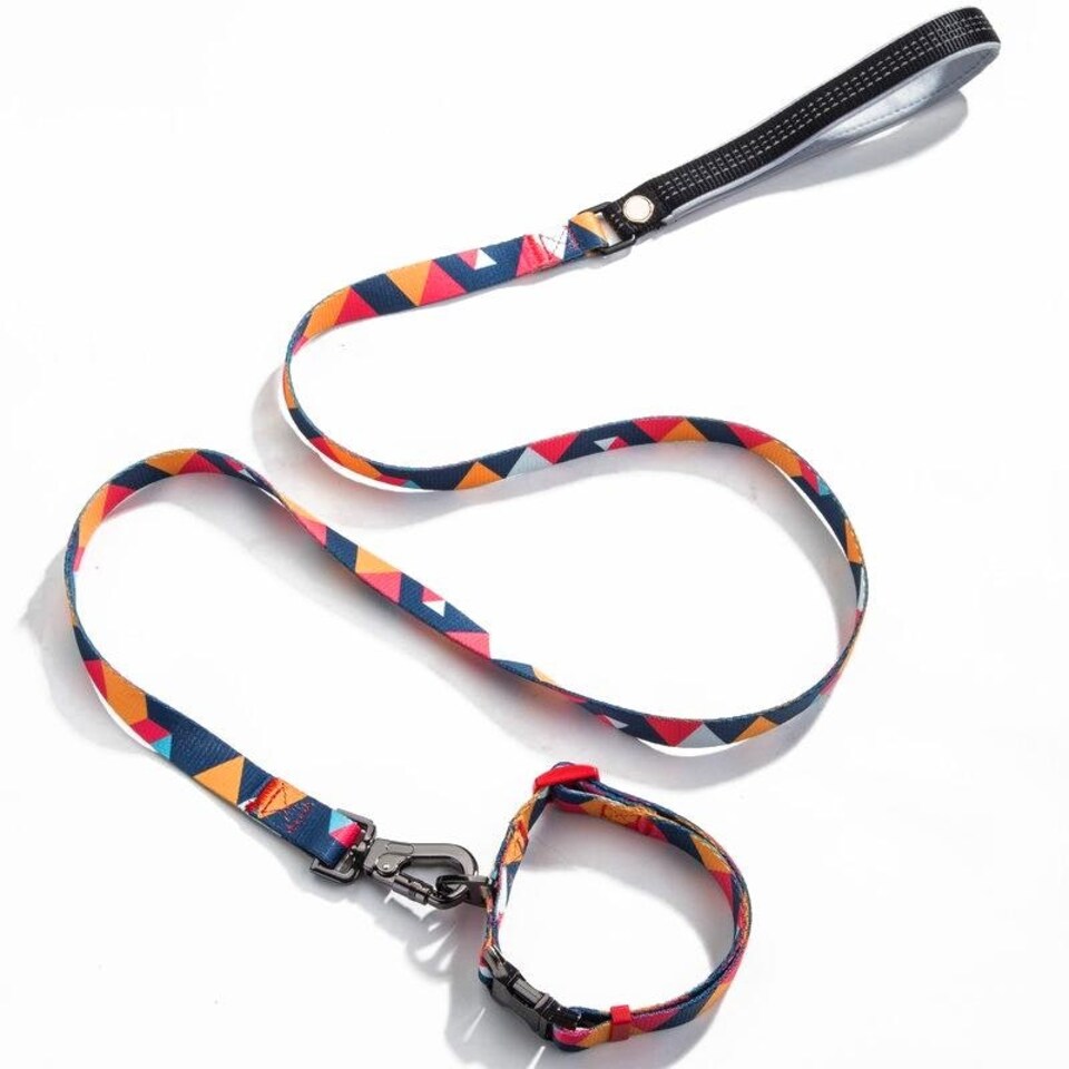 image 1 of Geometric Collar & Lead - Medium - 1m