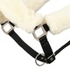 image 6 of LeMieux Comfort Headcollar Clear | X-Full