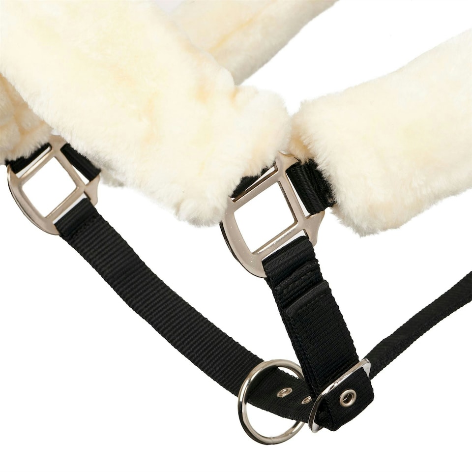 image 1 of LeMieux Comfort Headcollar Clear | X-Full