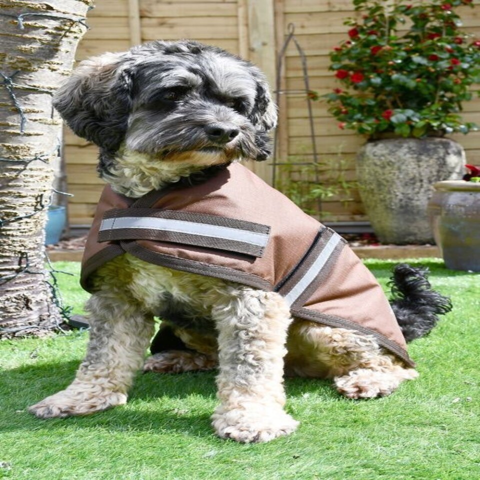 image 1 of Rhinegold Waterproof Dog Coat Brown | XXXL