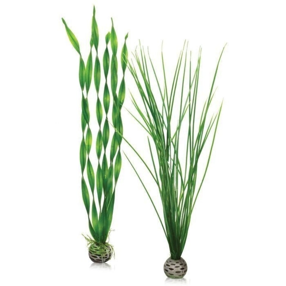 image 1 of BiOrb Easy Plants (Tall x2) - PL03