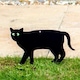 image 3 of Set of 3 Cat Scarers Cat Silhouettes with Lifelike Eyes