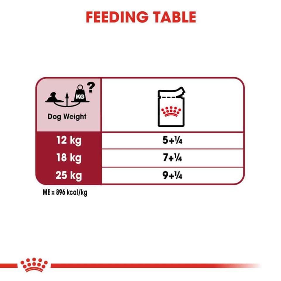 image 1 of Royal Canin Medium Ageing Over 10 Years Senior in Gravy Wet Dog Food - 10 x 140 g (1 kg)