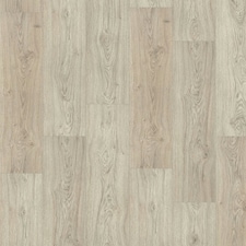 Amazo Forest Wood Effect Click Laminate Flooring - Plank (8mm),For All Rooms & Commercial Use, Suitable for Underfloor Heating Cream | White Ivory | 1.99 m²