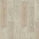 image 1 of Amazo Forest Wood Effect Click Laminate Flooring - Plank (8mm),For All Rooms & Commercial Use, Suitable for Underfloor Heating Cream | White Ivory | 1.99 m²