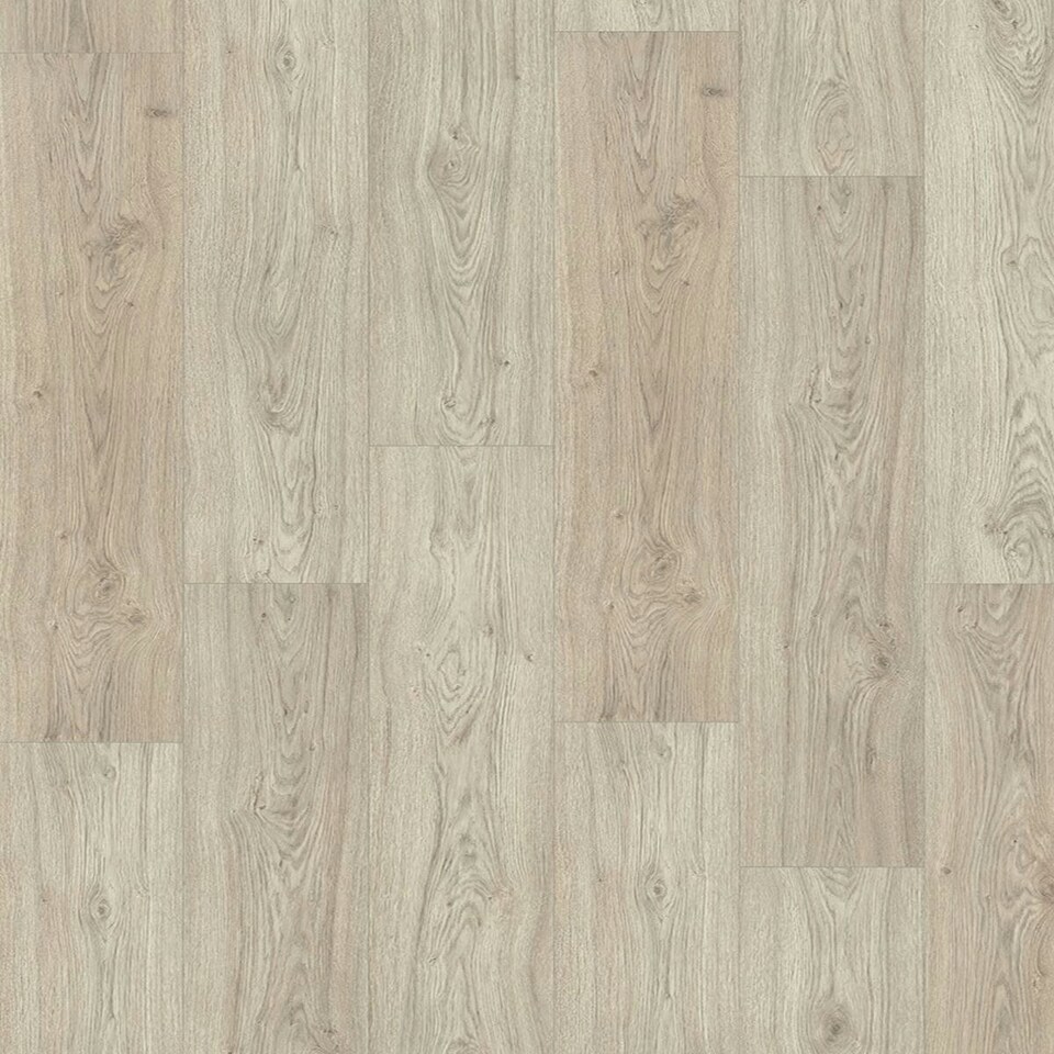 image 1 of Amazo Forest Wood Effect Click Laminate Flooring - Plank (8mm),For All Rooms & Commercial Use, Suitable for Underfloor Heating Cream | White Ivory | 1.99 m²