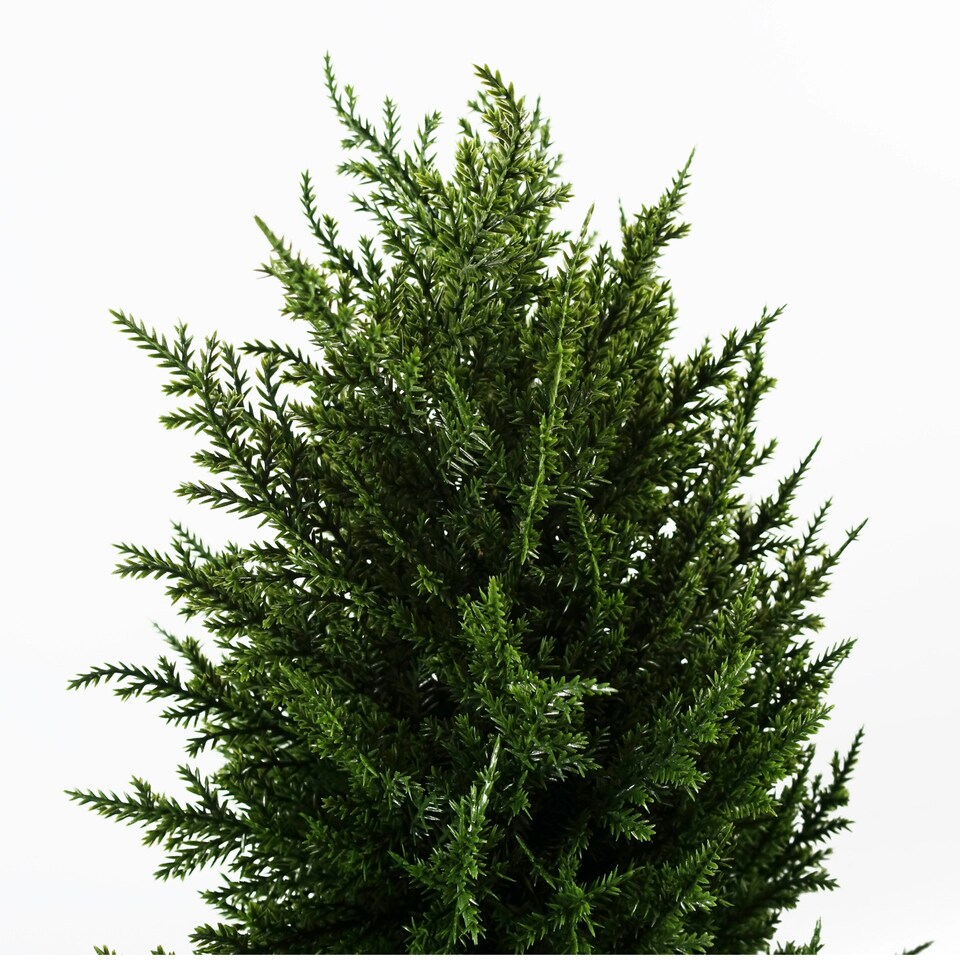 image 1 of Pair 120cm Premium Artificial Cypress Spiral Topiary | Green | 4ft