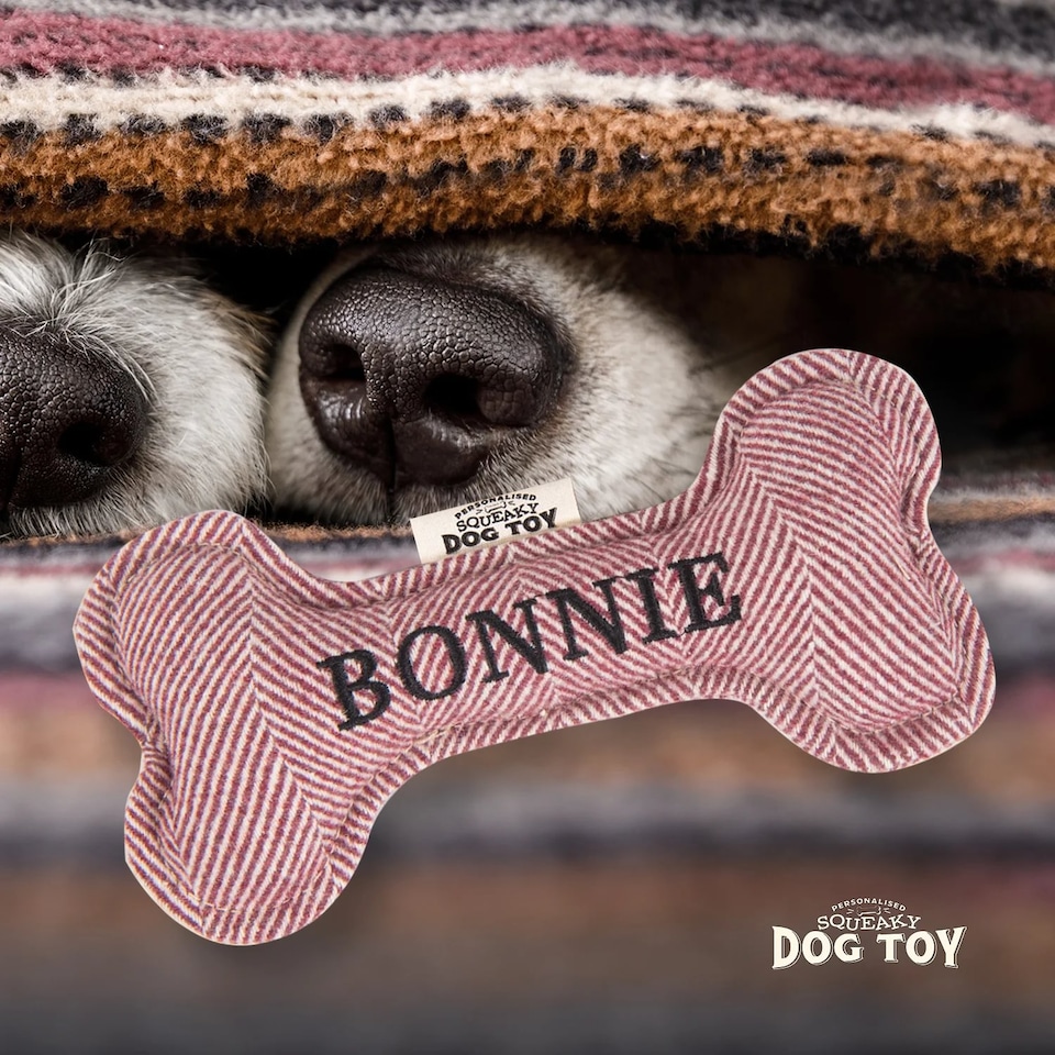 image 1 of History & Heraldry Pre-Personalised Squeaky Bone Dog Toy - Bonnie
