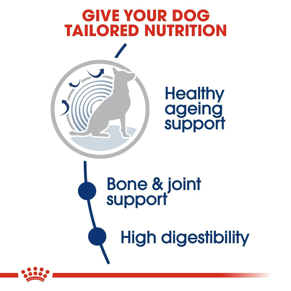 image 1 of ROYAL CANIN® Maxi Ageing 8+ Dry Dog Food