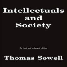 Intellectuals And Society