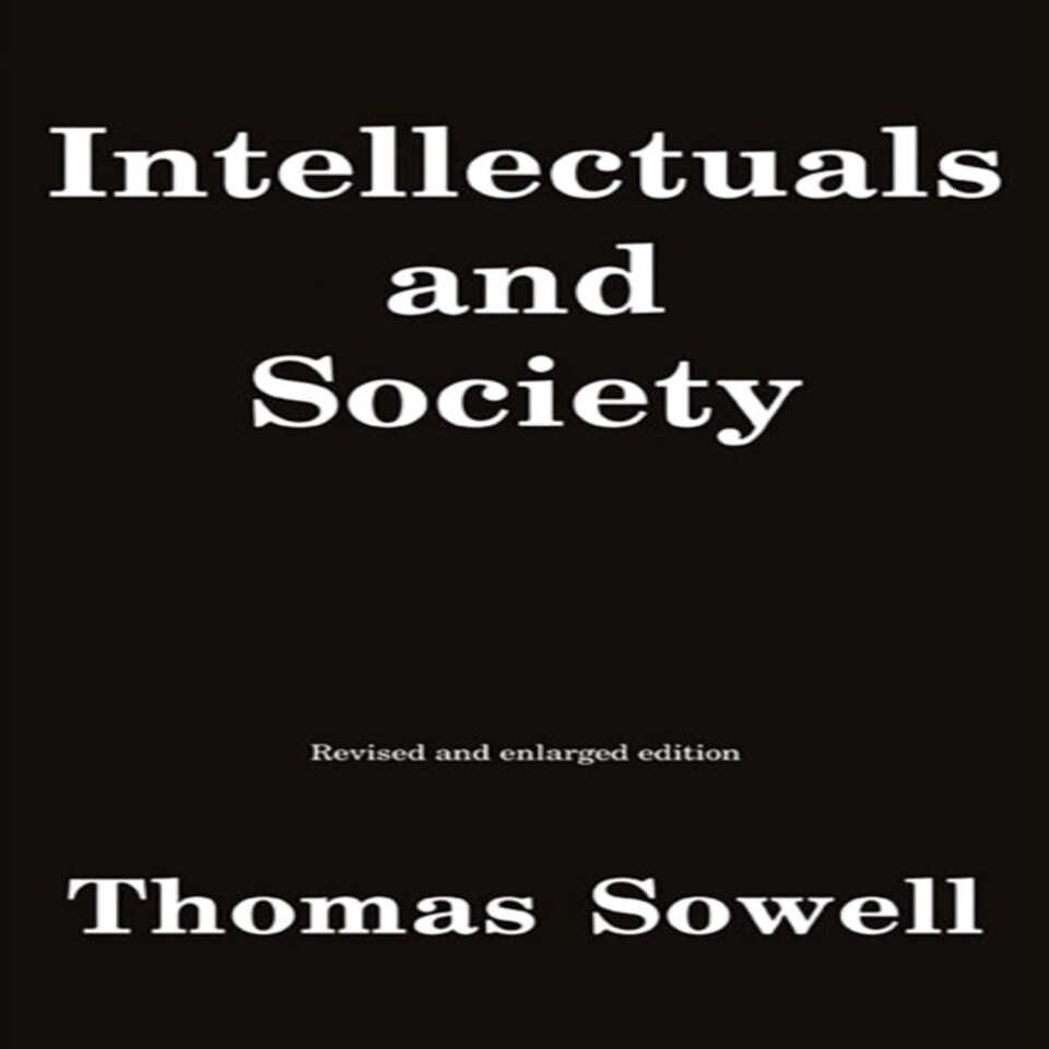 Intellectuals And Society