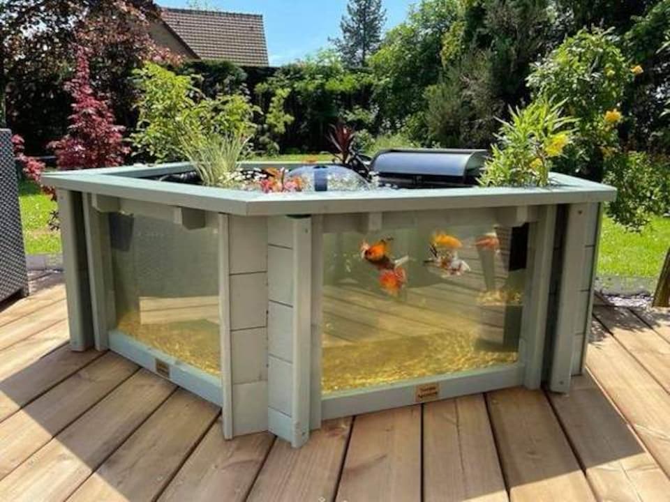 image 1 of Raised hexagon pond with large windows Lily Clear View Garden Aquarium in Seagrass Green