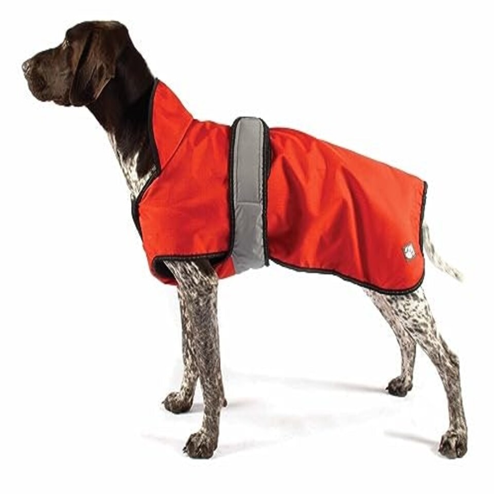 2 In 1 Orange Dog Coat 60cm 24" Danish Design N/A | One Size