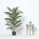 image 2 of Homescapes Multi Stem Green Palm Tree in Pot, 120 cm