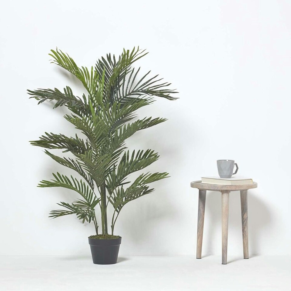image 1 of Homescapes Multi Stem Green Palm Tree in Pot, 120 cm