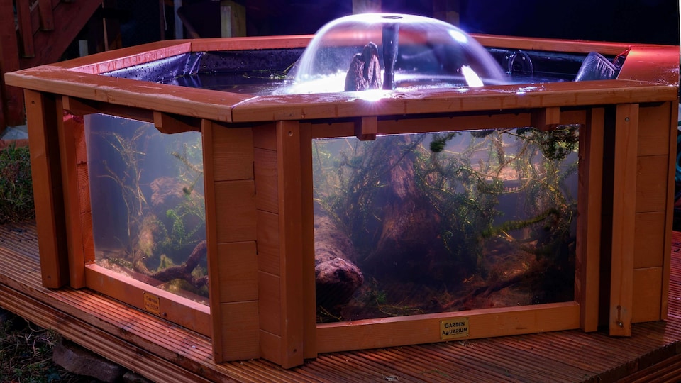 image 1 of Raised hexagon pond with large windows Lily Clear View Garden Aquarium in Natural Brown