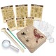 image 3 of KidzLabs - Creepy Crawly Digging Kit