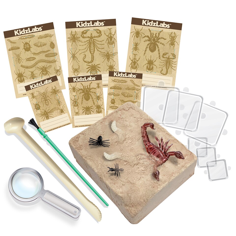 image 1 of KidzLabs - Creepy Crawly Digging Kit