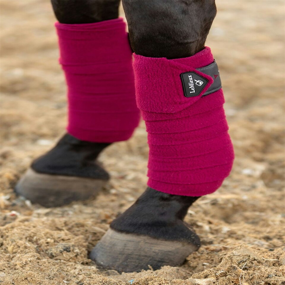 image 1 of LeMieux Classic Polo Bandages Blue | Pony