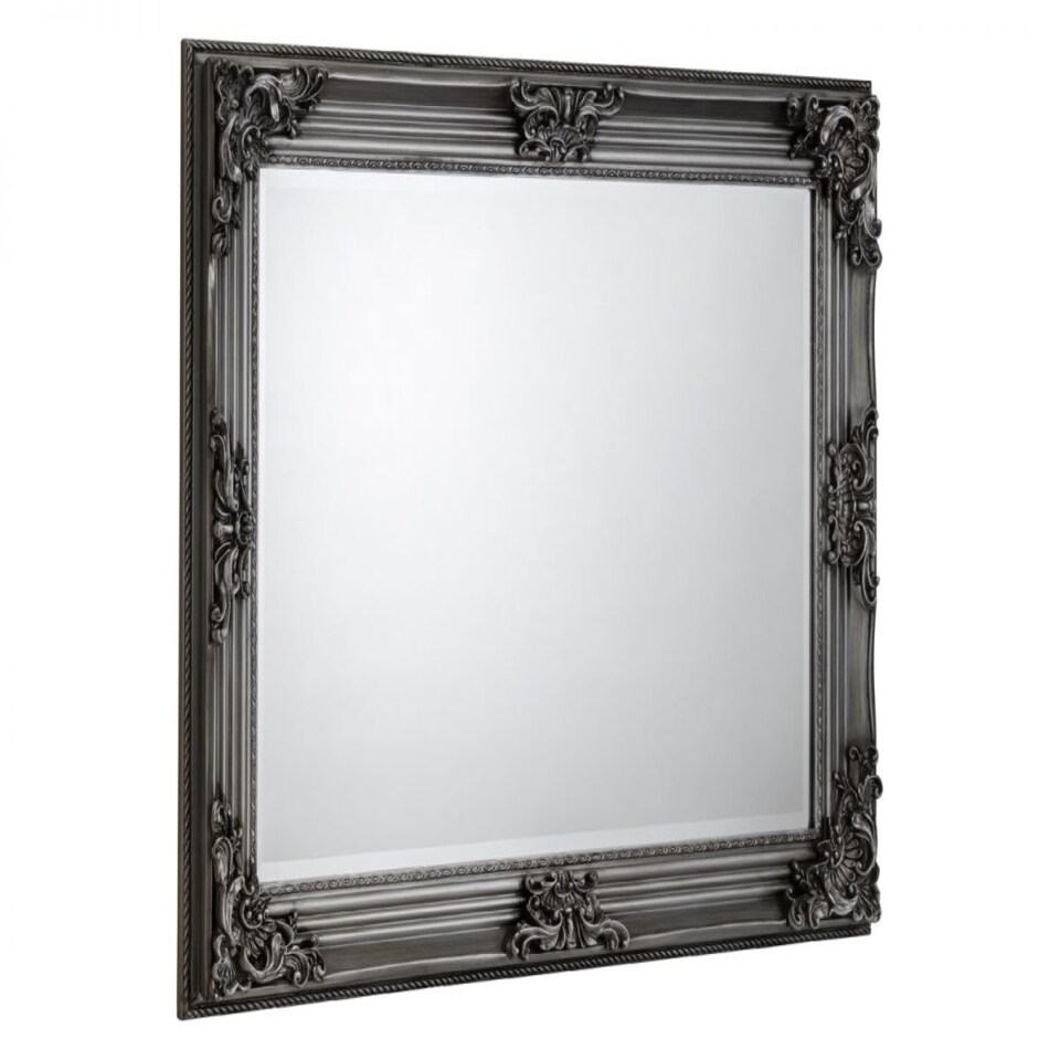 image 1 of Rococo Pewter Dress Mirror