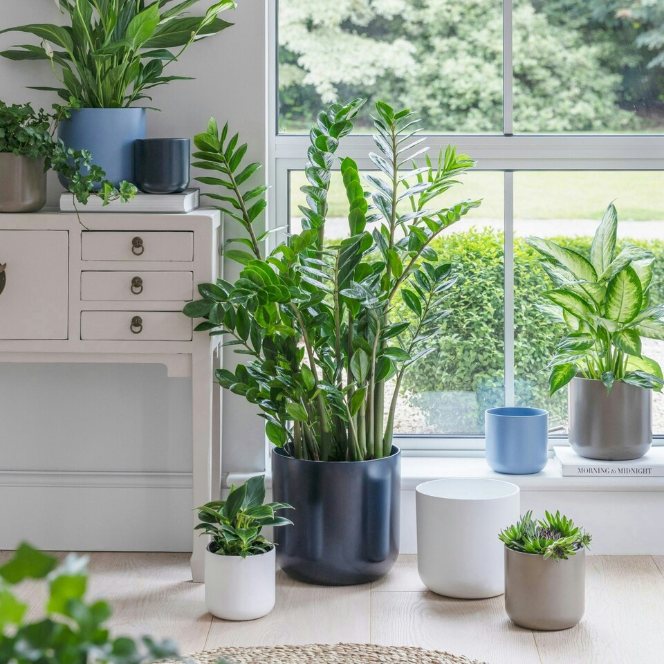 image 1 of Lisbon Planter White