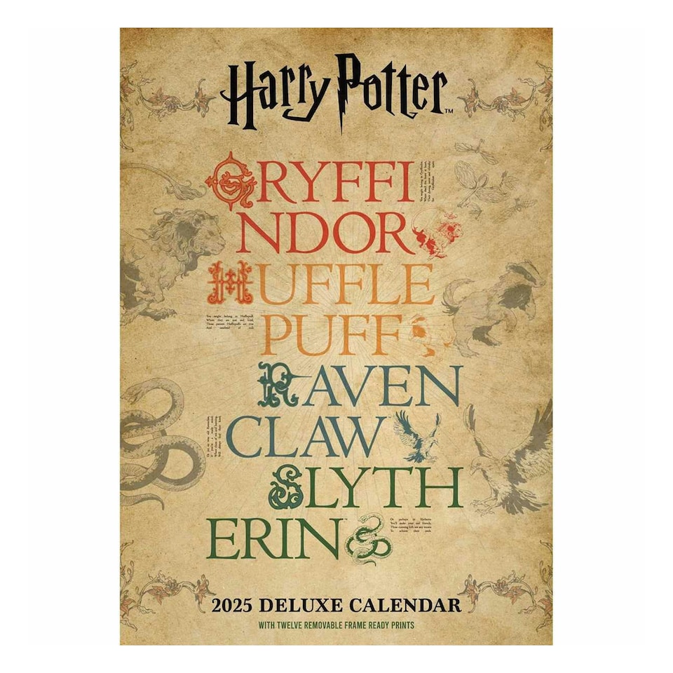image 1 of Harry Potter Deluxe 2025 Calendar - Multicoloured - One Size