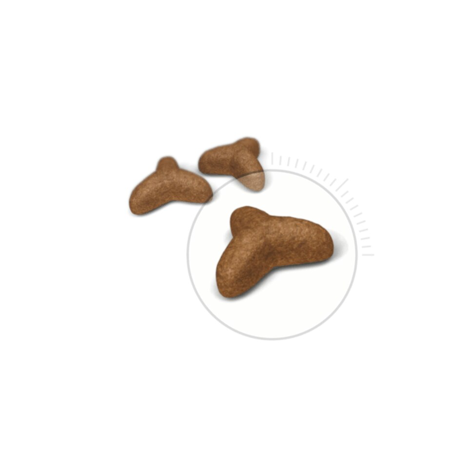image 1 of Royal Canin Cat Light Weight Care 8KG