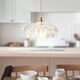 image 3 of Camellia Dome Pendant Ceiling Light Clear Glass E27 or B22
