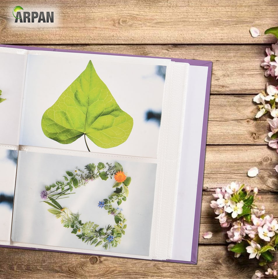 image 1 of ARPAN 6x4 Photo Album 200 Photos Slip In Picture Storage Book with Front Cover Window Plastic Jacket and CD/DVD Pocket | Purple | Purple Birds