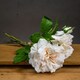 image 2 of Hill Interiors Artificial Short Stem Rose Bouquet - Peach/Cream - One Size