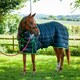 image 2 of Gallop Equestrian Trojan Dual 300 Stable Rug & Neck Set Clear | Size: 5ft 9
Colour: Black