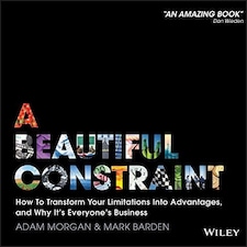 A Beautiful Constraint Hardback Book