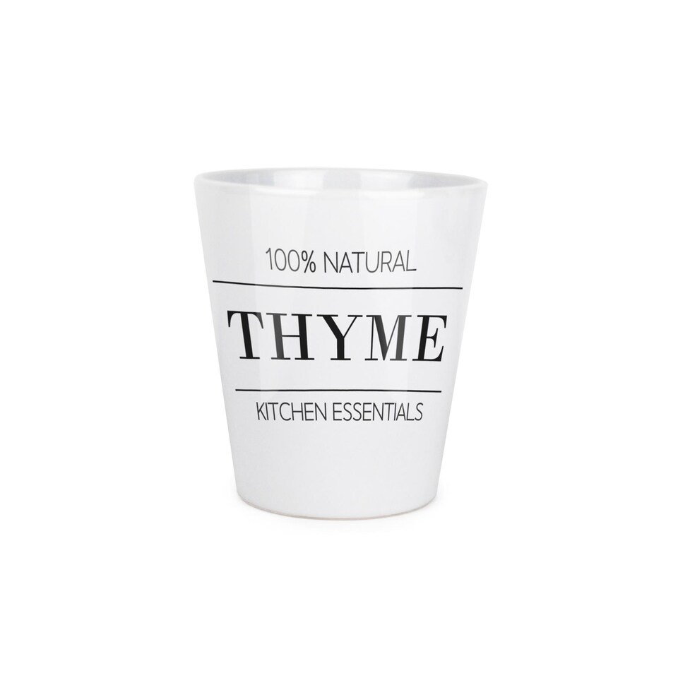 image 1 of Minimalist Design Small Ceramic Thyme Plant Pot