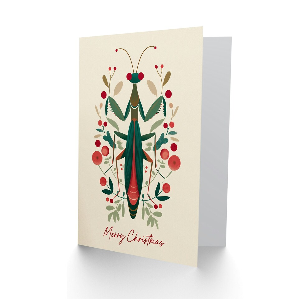 image 1 of Christmas Card Modern Scandi Pattern Festive Praying Mantis