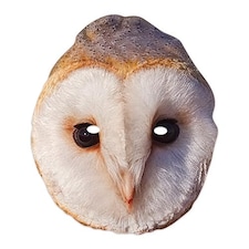 Owl Cardboard Face Mask