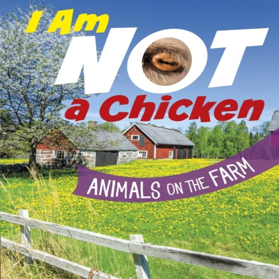 I Am Not A Chicken