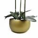 image 2 of Orchid Black - Gold Ceramic Planter