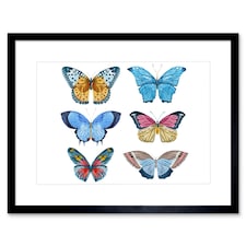 Colourful Butterflies Insect Study Watercolour 9x7" Black Framed Wall Art Print