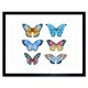 image 1 of Colourful Butterflies Insect Study Watercolour 9x7" Black Framed Wall Art Print