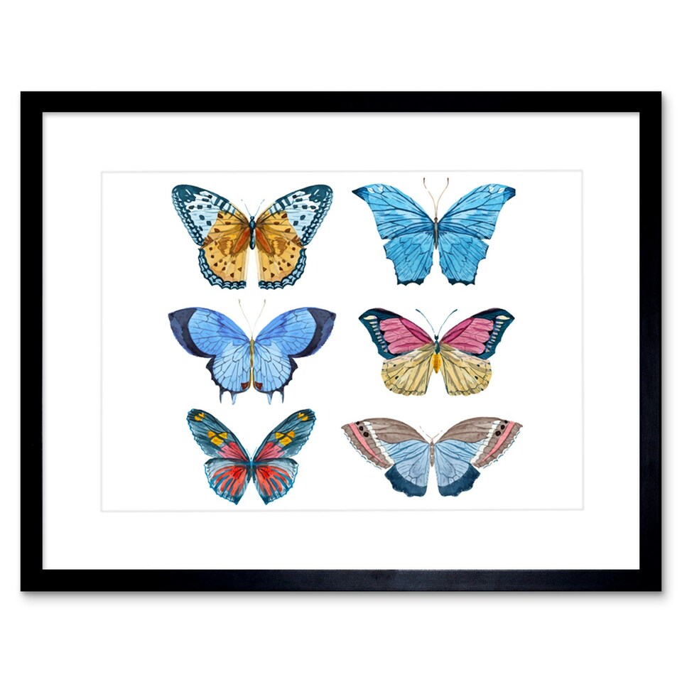 image 1 of Colourful Butterflies Insect Study Watercolour 9x7" Black Framed Wall Art Print