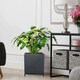 image 10 of Hammered Stone Style Black Square Indoor Planter on Metal Stand H35 L30 W30 cm, 22 ltrs Cap.