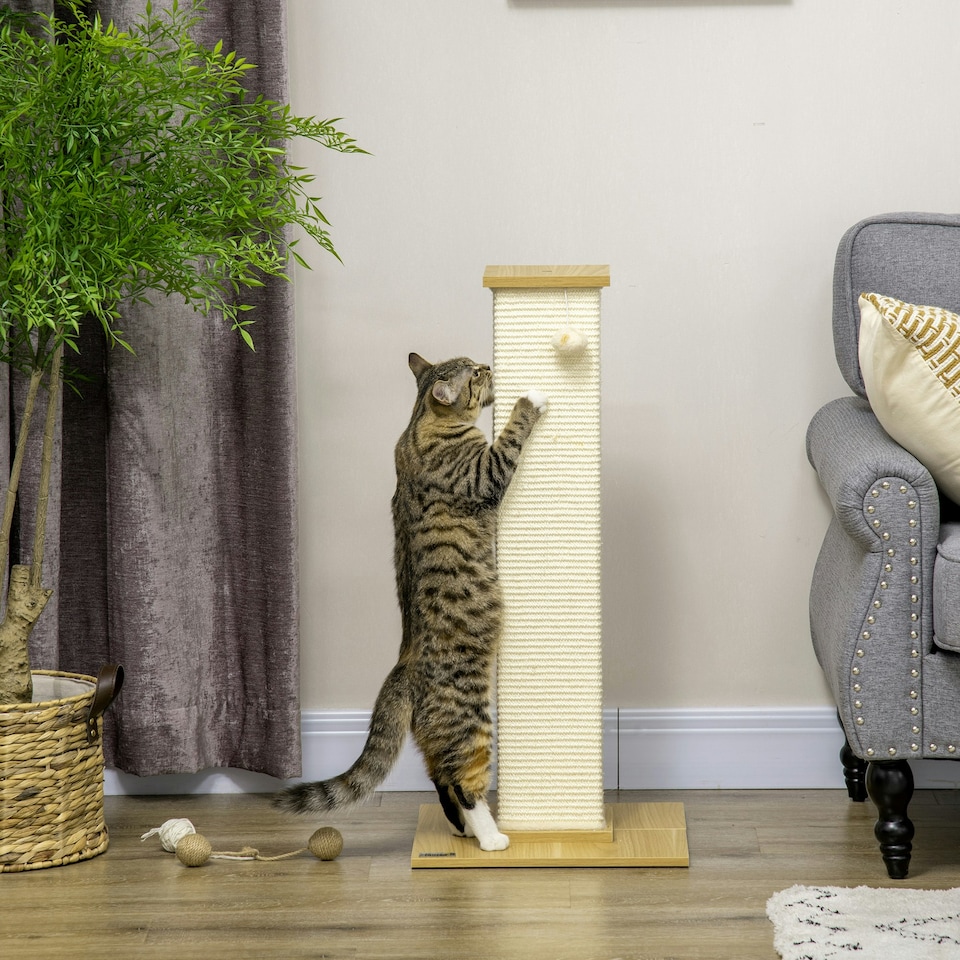 image 1 of PawHut Cat Scratch Post 80cm Tall, with Sisal Hanging Ball Toy, Oak Beige