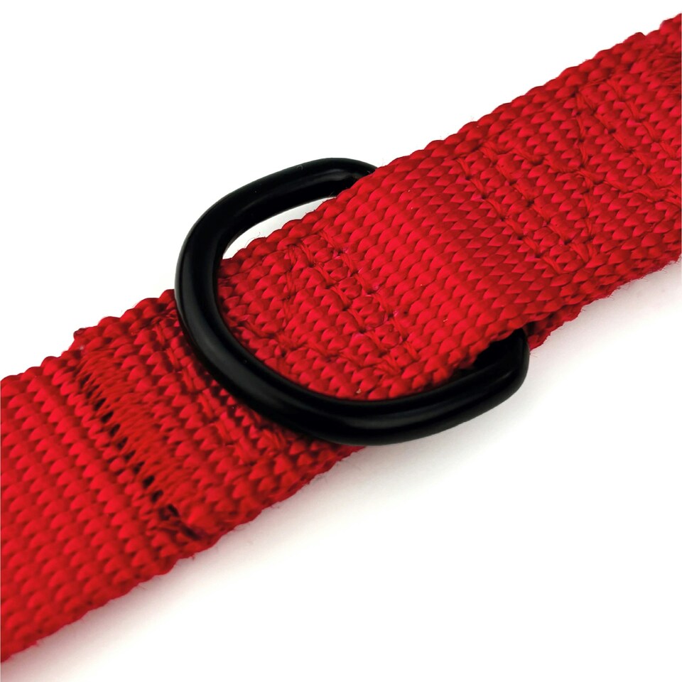 image 1 of HugglePets 10 in 1 Dog Training Lead - 200 x 1.9cm Red