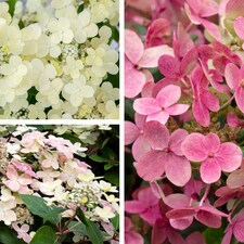 Gardening Supplies