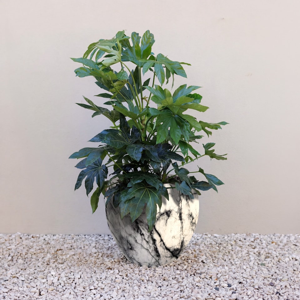 image 1 of Primrose Martino Marble Effect Concrete Planter in Grey 56cm | Grey | Grey