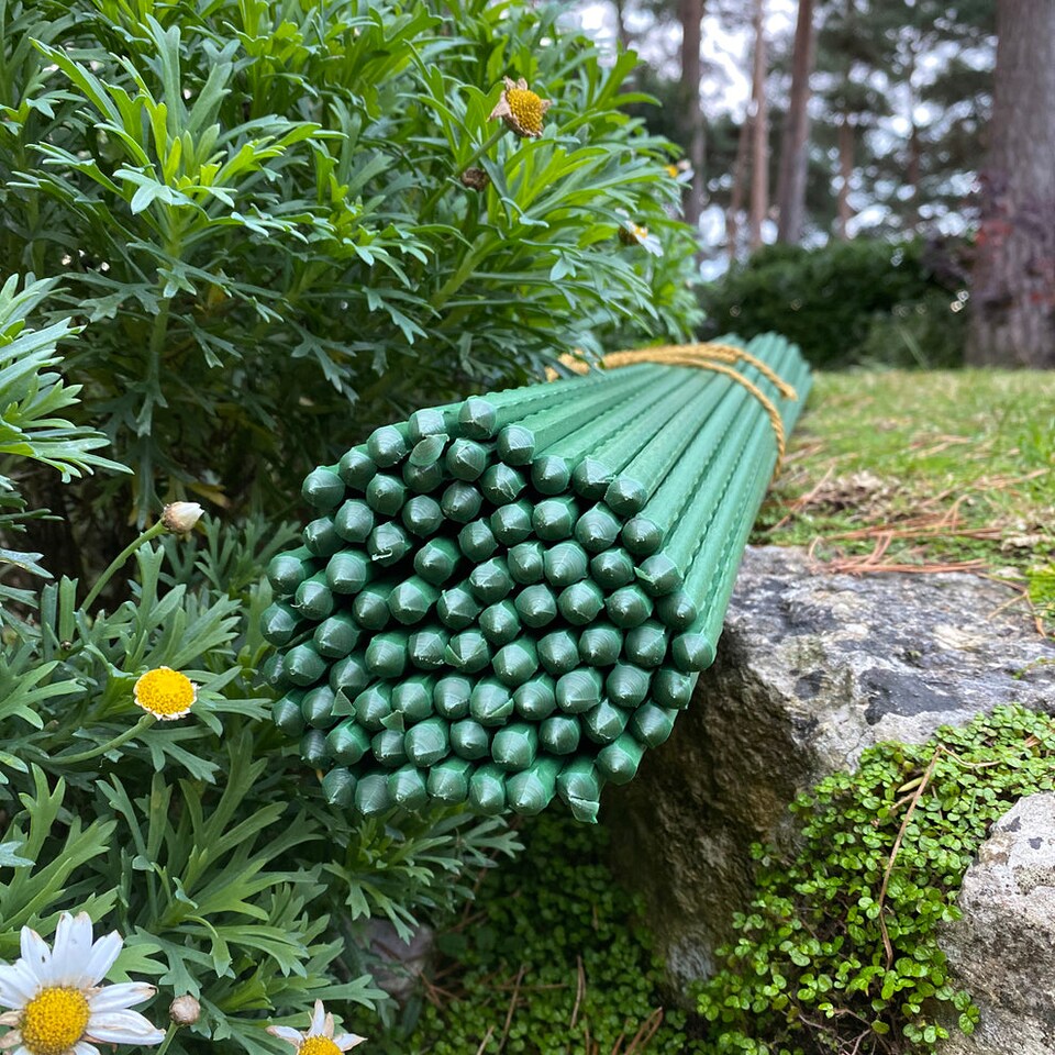 image 1 of Plastic Coated Metal Garden Plant Support Sticks (80cm) - Pack of 80