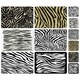 image 1 of The Zebra Print Collection (Placemat & Coaster Set)