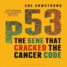P53