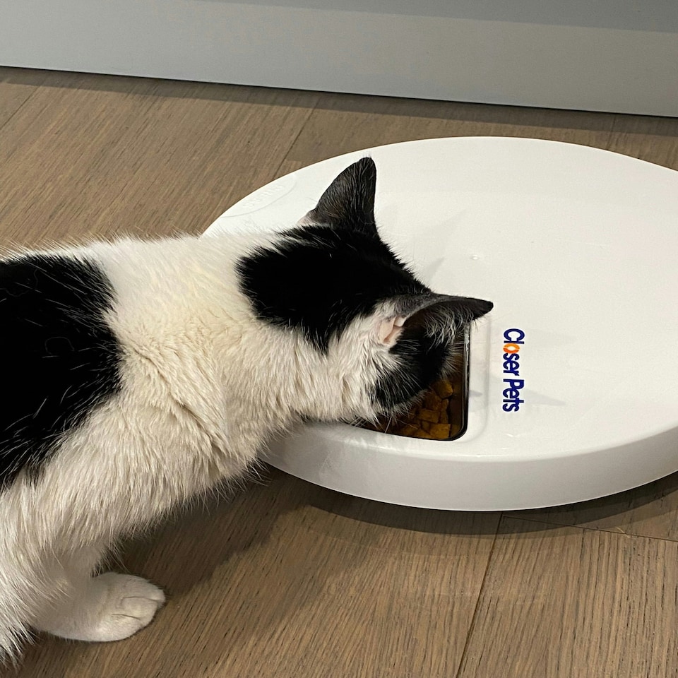 image 1 of Closer Pets Five-Meal Automatic Pet Feeder with Stainless Steel Bowl Inserts (C500) White