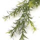 image 4 of Pack of 6 x Hanging UV and Fire Resistant Artificial Spider Fern Plant 78cm